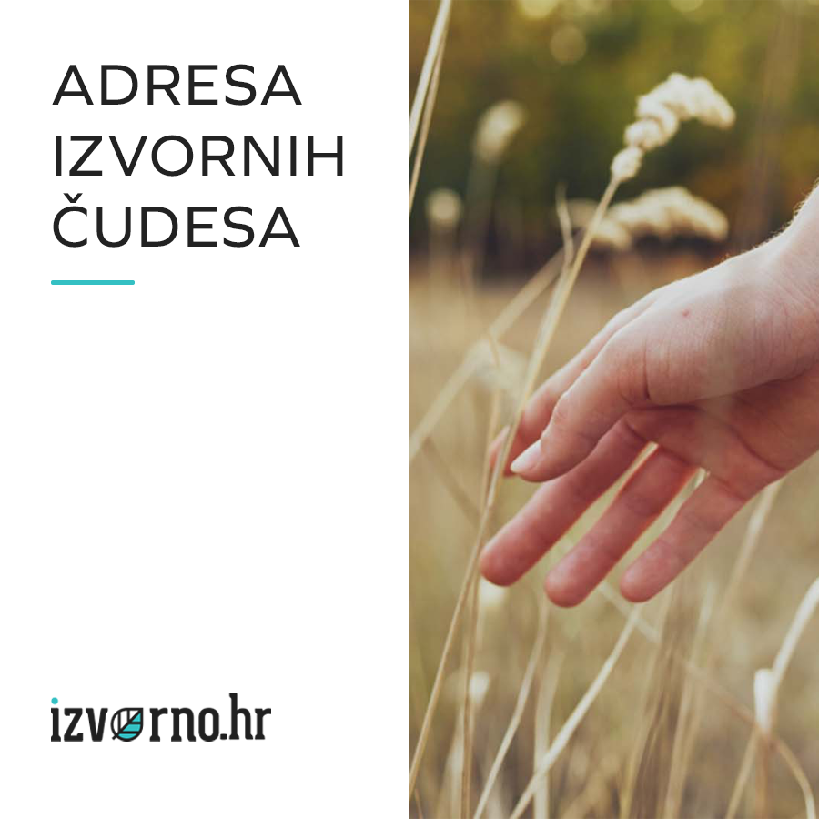 Izvorno.hr - 900x900