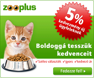 Zooplus.hu - 300x250 katze