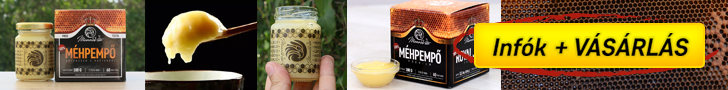 Méhpempő 728x90 - 01
